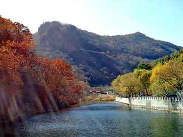 天天彩好彩天天免费，湿地松种子价格